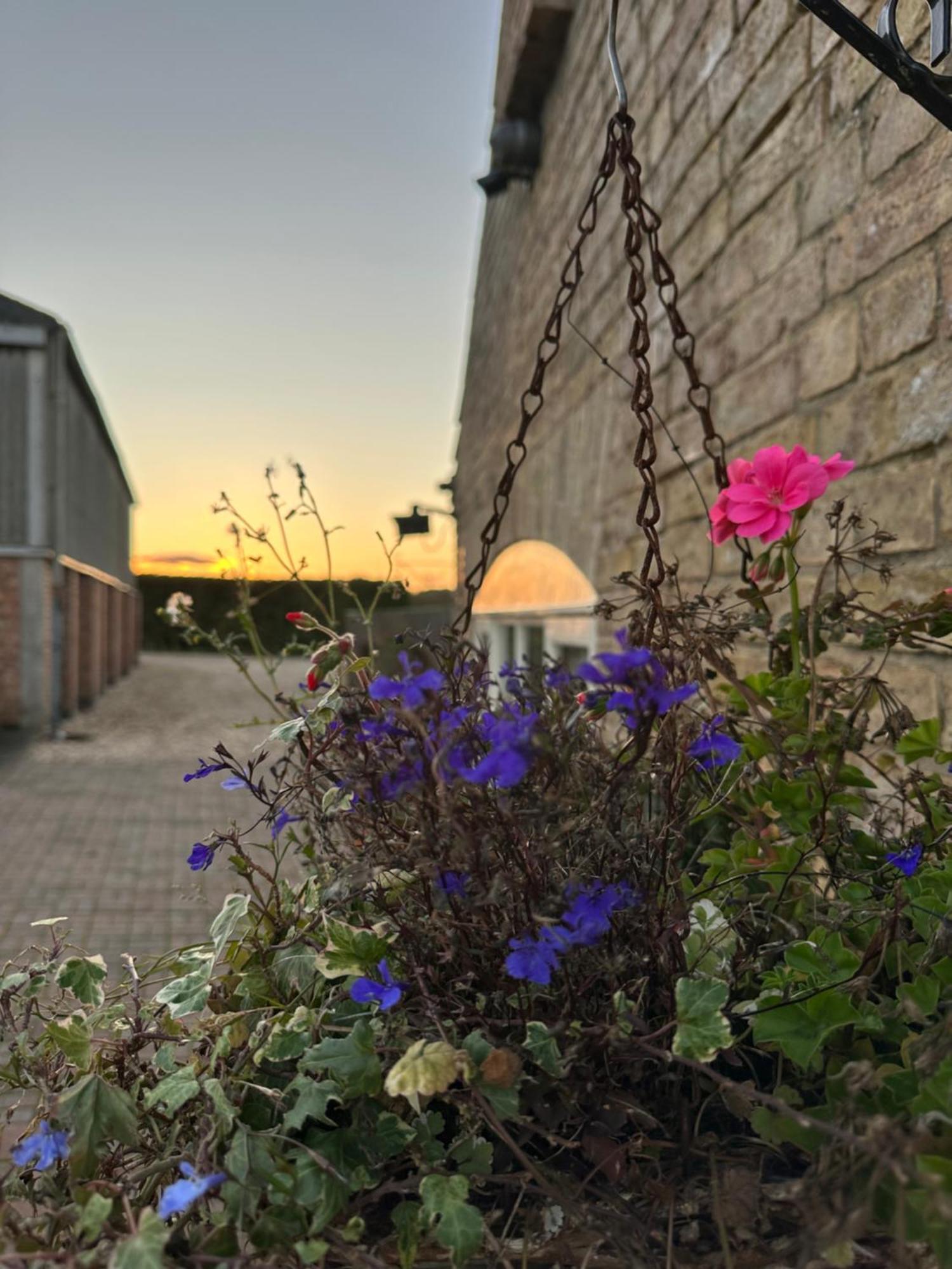 Charming Hen Cottage Countryside Retreat Lincoln Newball Eksteriør billede